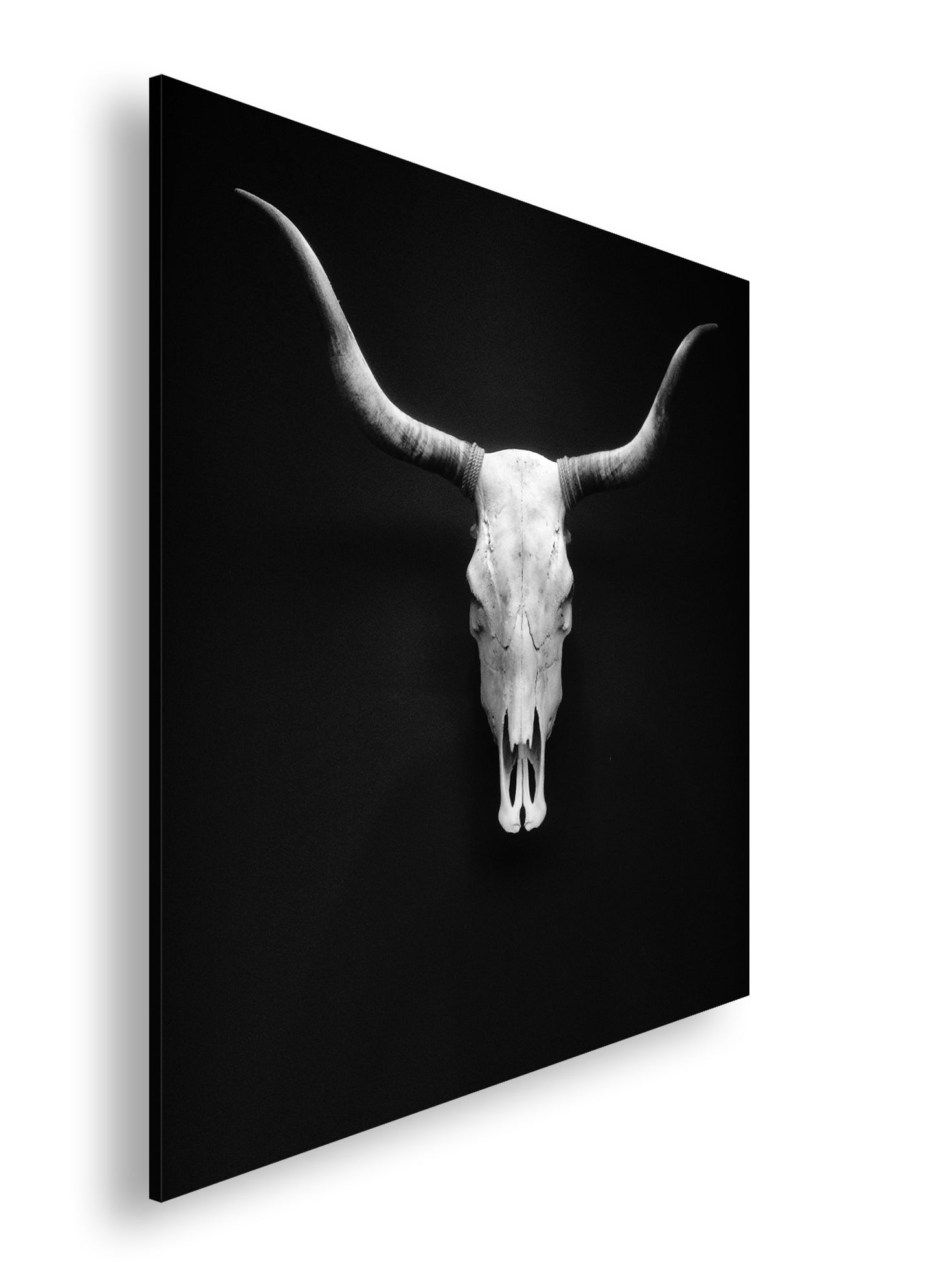 Hauptbild Schwarz & Weiß Quadratisch