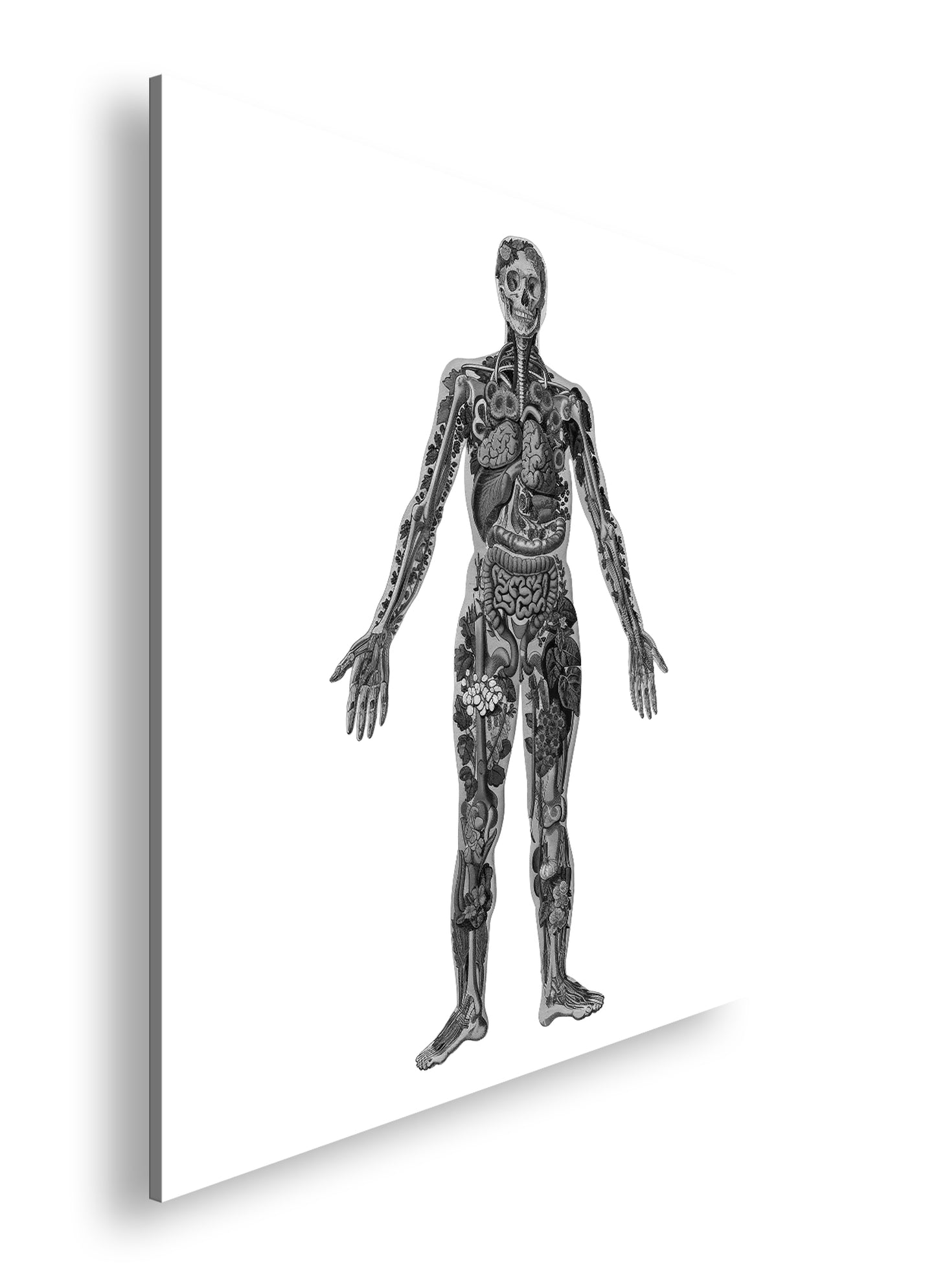 Hauptbild Schwarz & Weiß Quadratisch