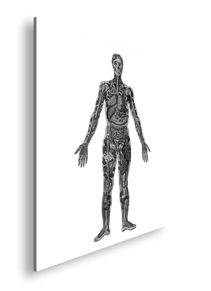Hauptbild Schwarz & Weiß Quadratisch