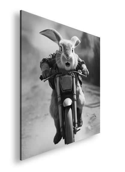 Hauptbild Schwarz & Weiß Quadratisch