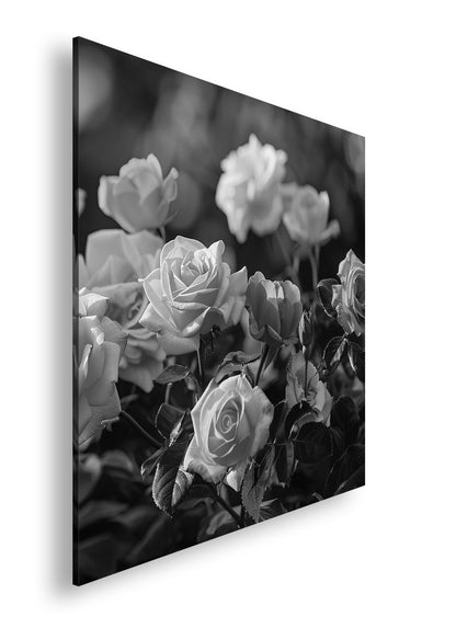 Hauptbild Schwarz & Weiß Quadratisch