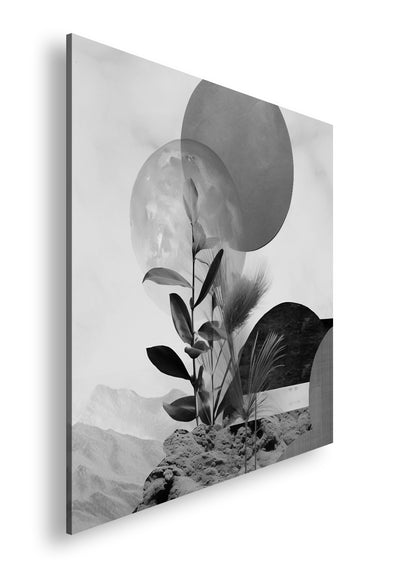 Hauptbild Schwarz & Weiß Quadratisch