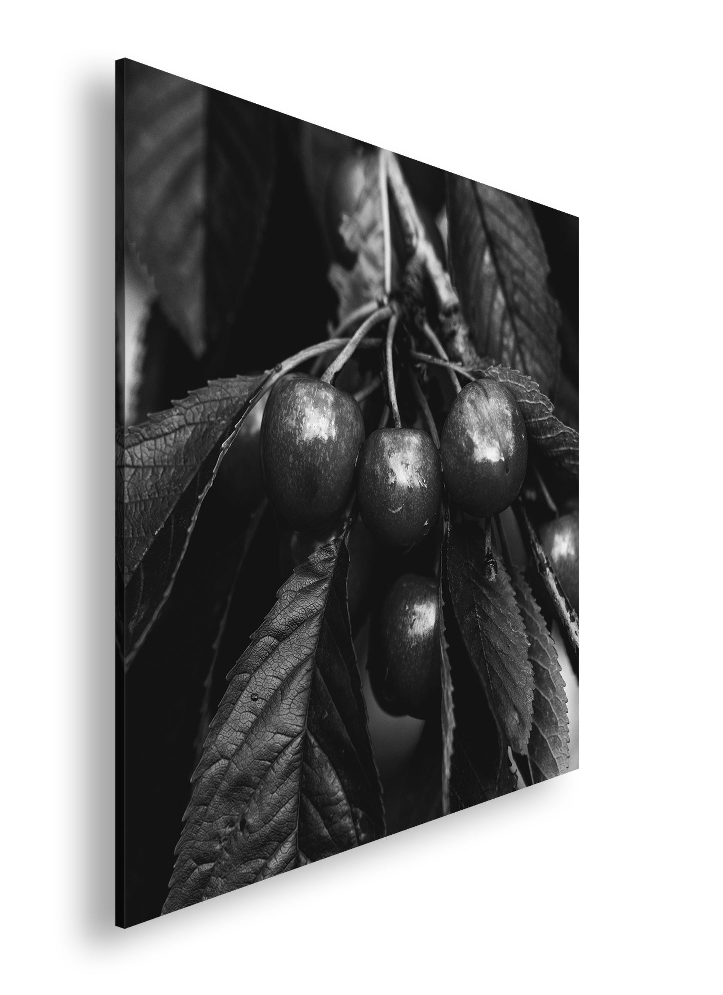 Hauptbild Schwarz & Weiß Quadratisch