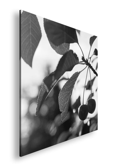 Hauptbild Schwarz & Weiß Quadratisch