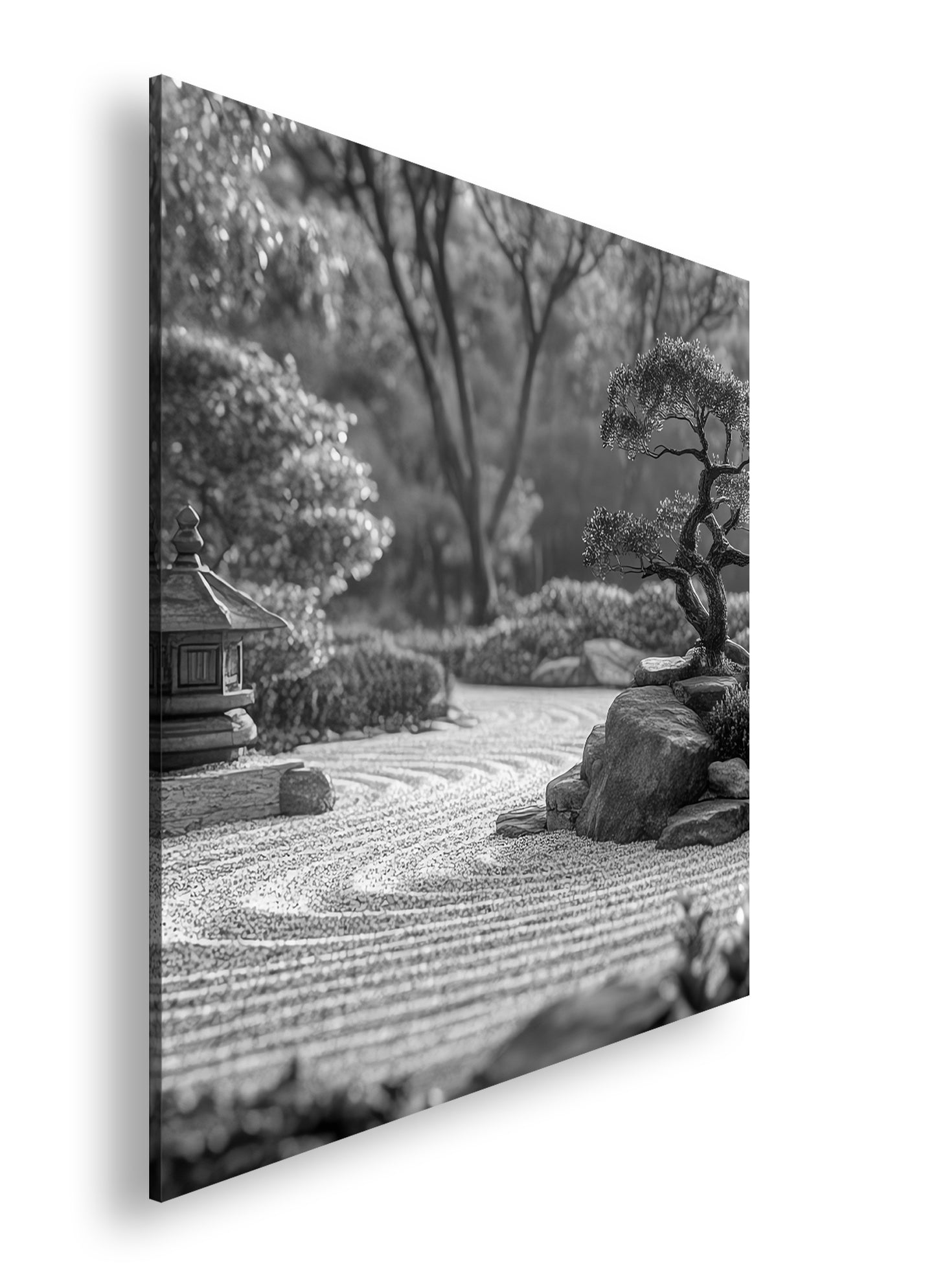 Hauptbild Schwarz & Weiß Quadratisch