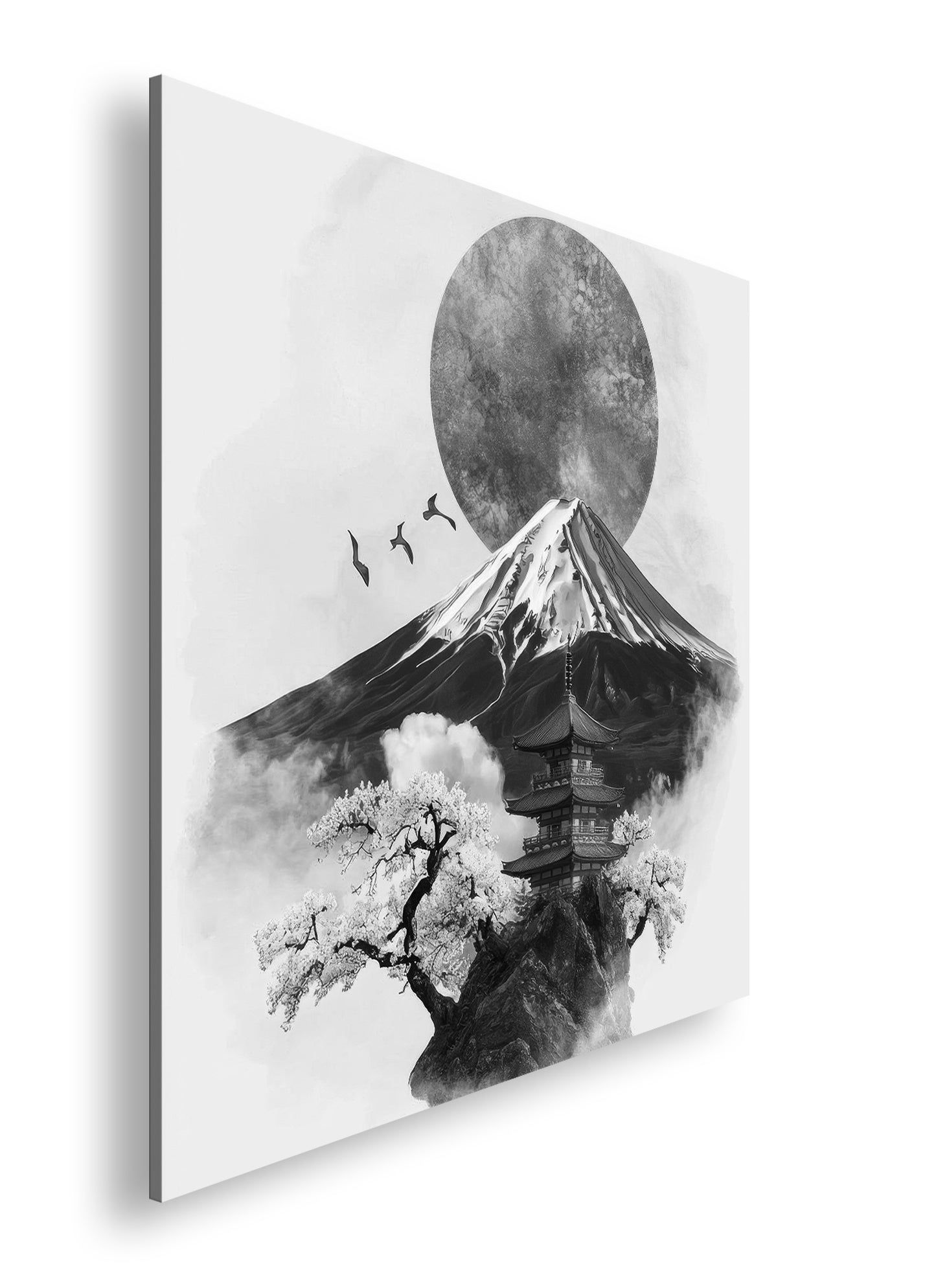 Hauptbild Schwarz & Weiß Quadratisch