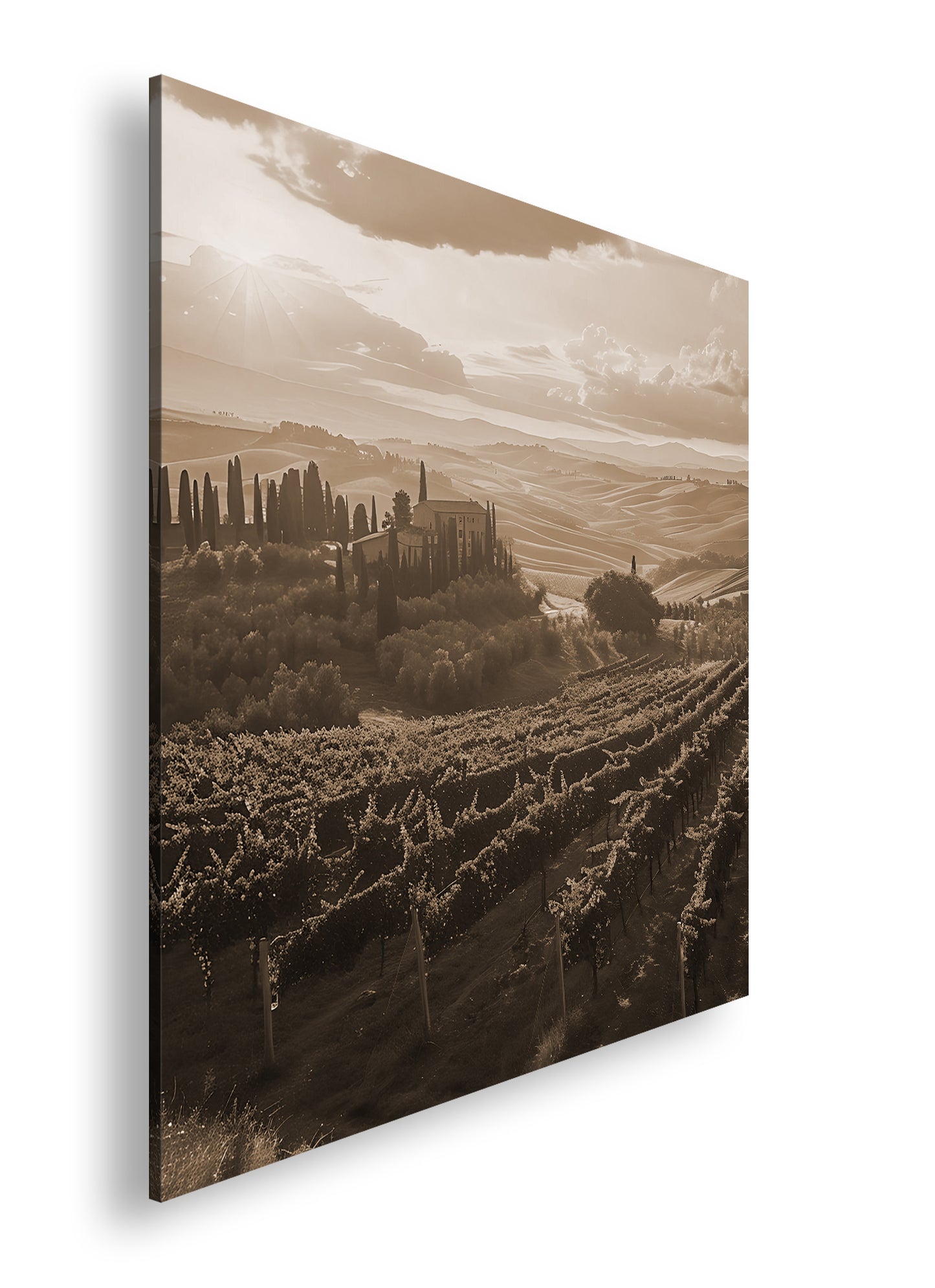 Hauptbild Sepia Quadratisch