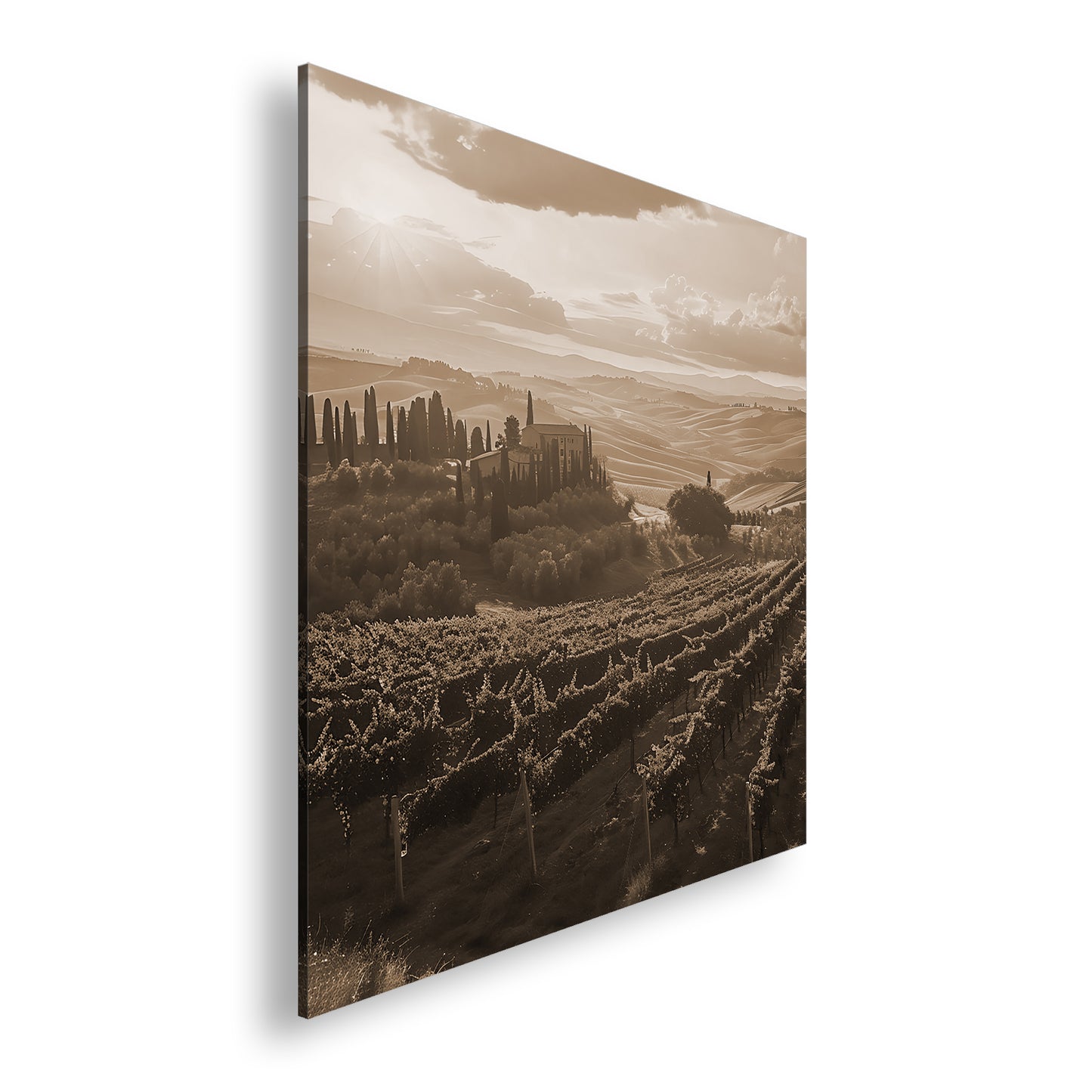 Hauptbild Sepia Quadratisch
