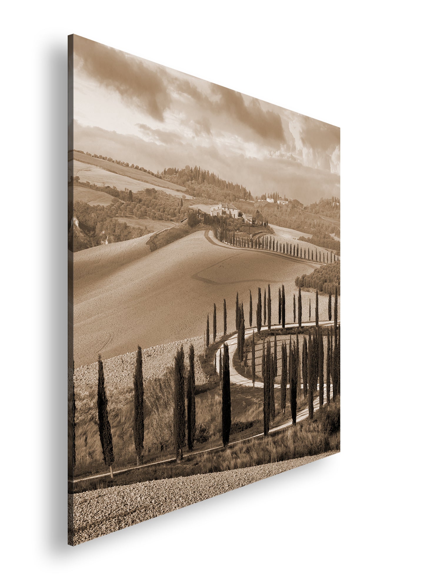 Hauptbild Sepia Quadratisch