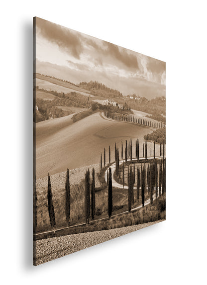 Hauptbild Sepia Quadratisch