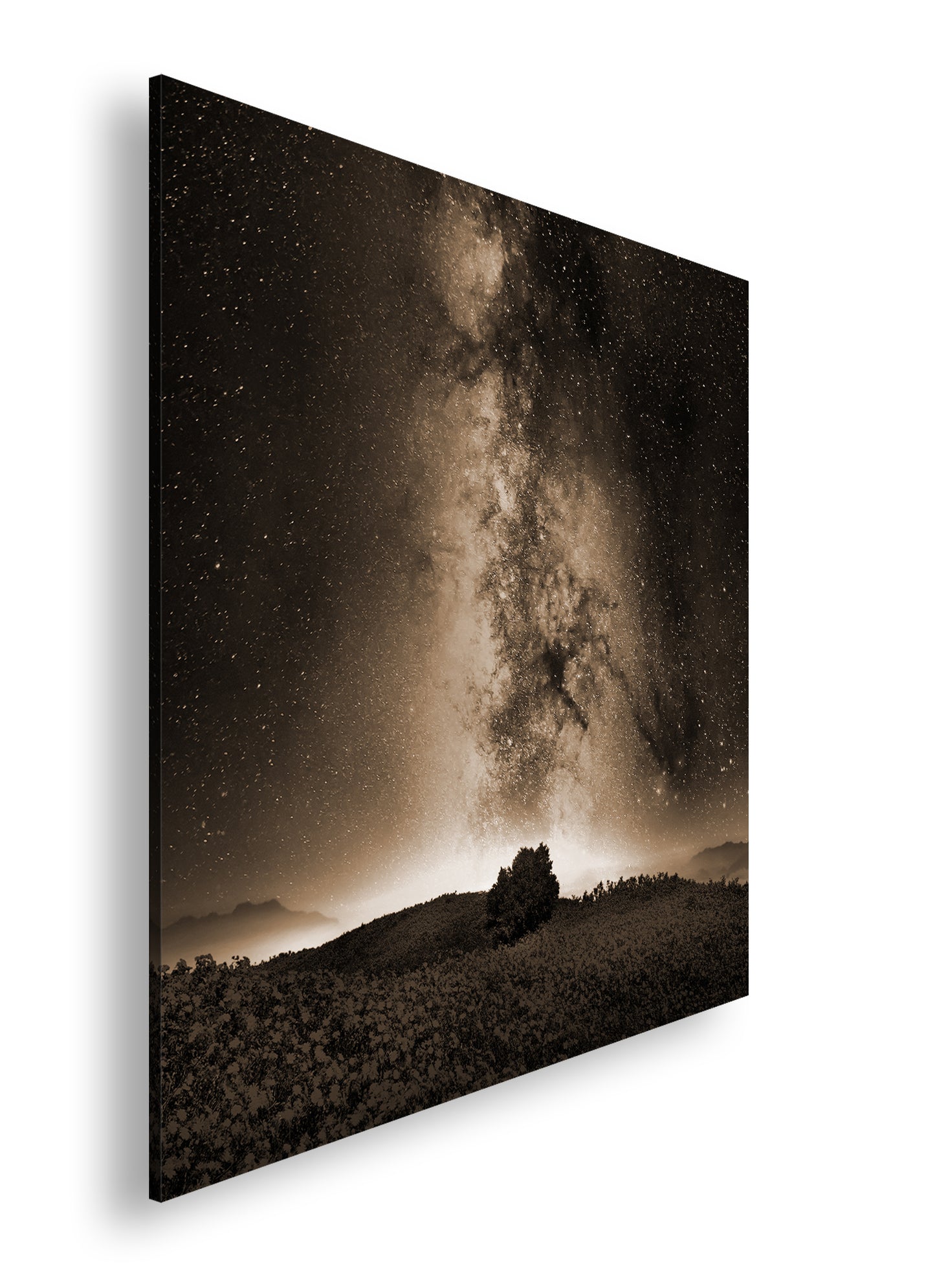 Hauptbild Sepia Quadratisch