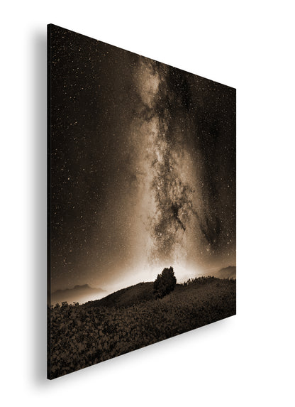 Hauptbild Sepia Quadratisch