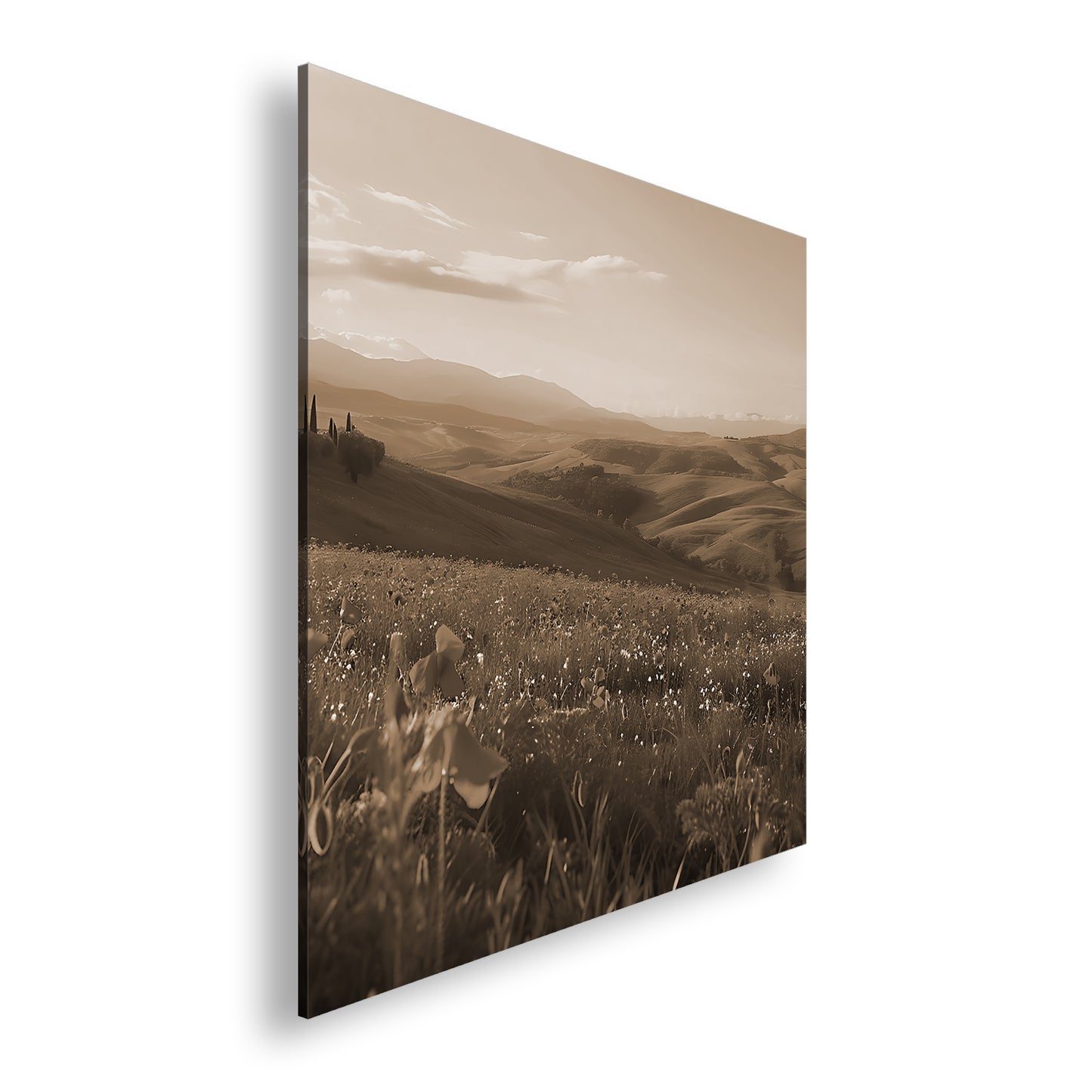 Hauptbild Sepia Quadratisch