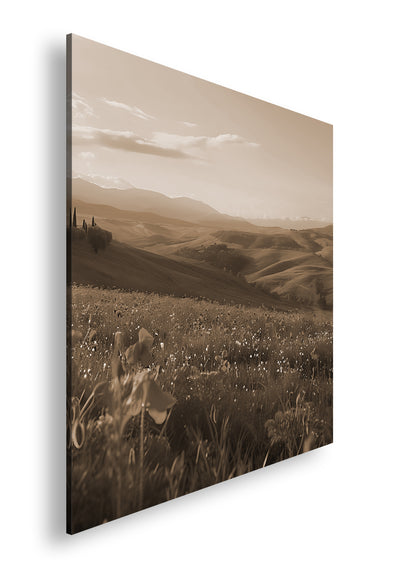 Hauptbild Sepia Quadratisch