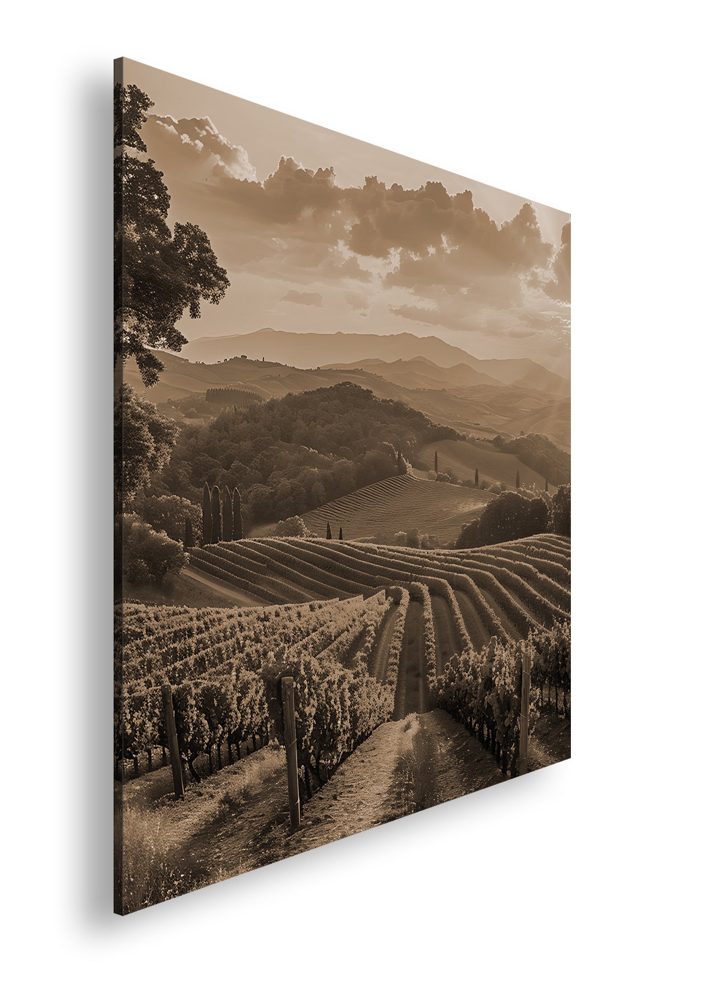 Hauptbild Sepia Quadratisch