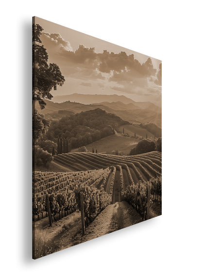 Hauptbild Sepia Quadratisch