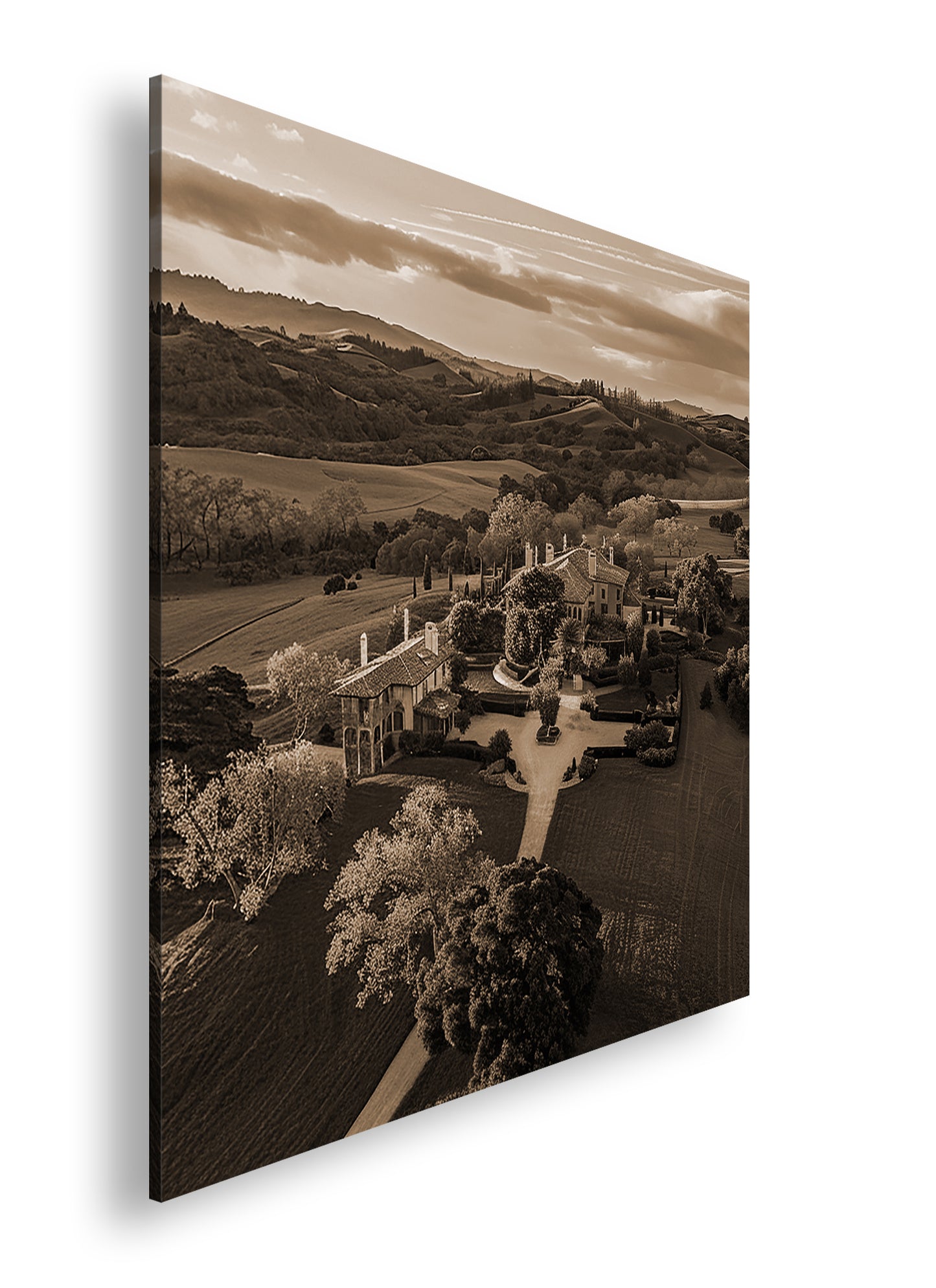 Hauptbild Sepia Quadratisch