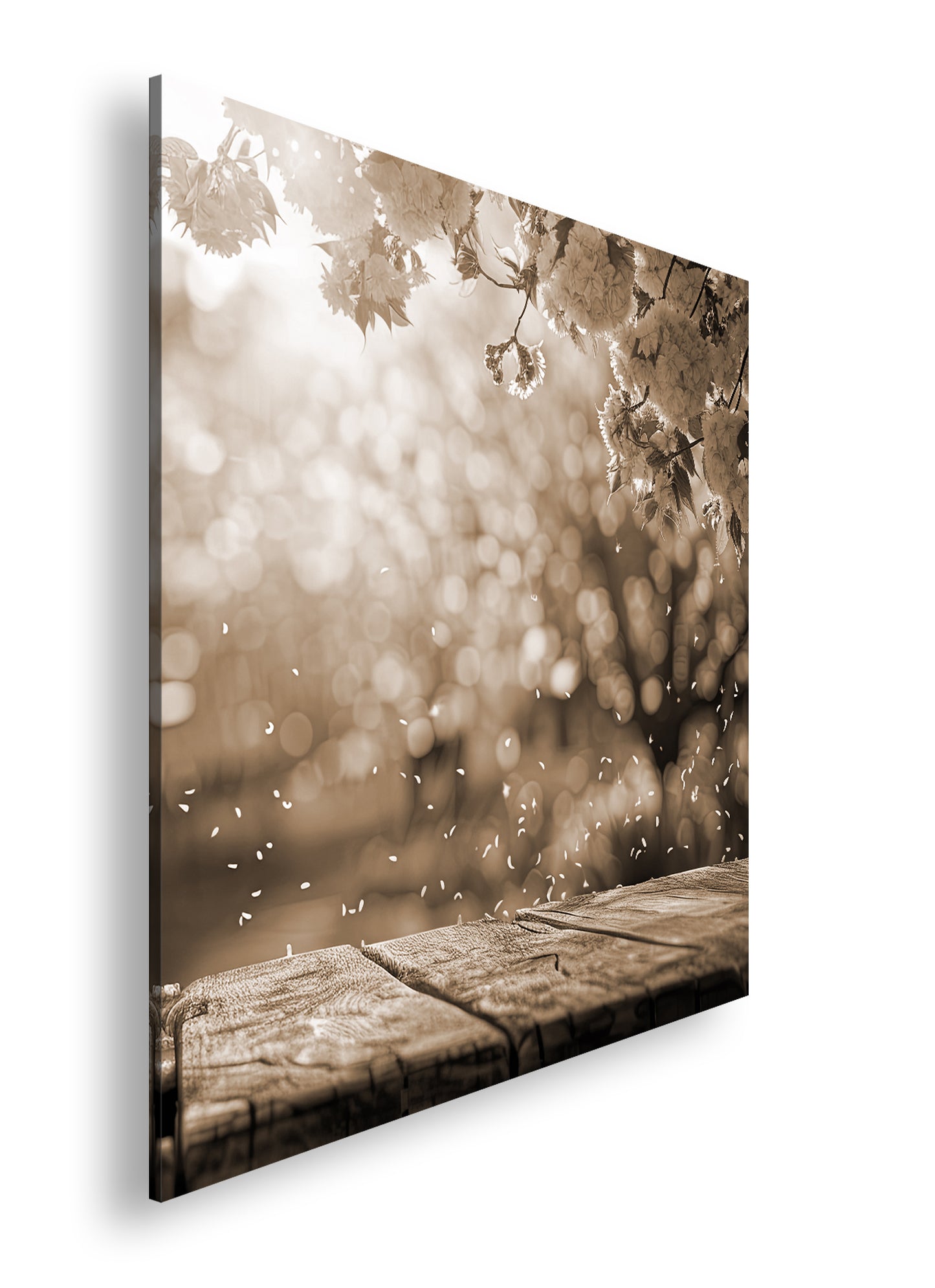 Hauptbild Sepia Quadratisch