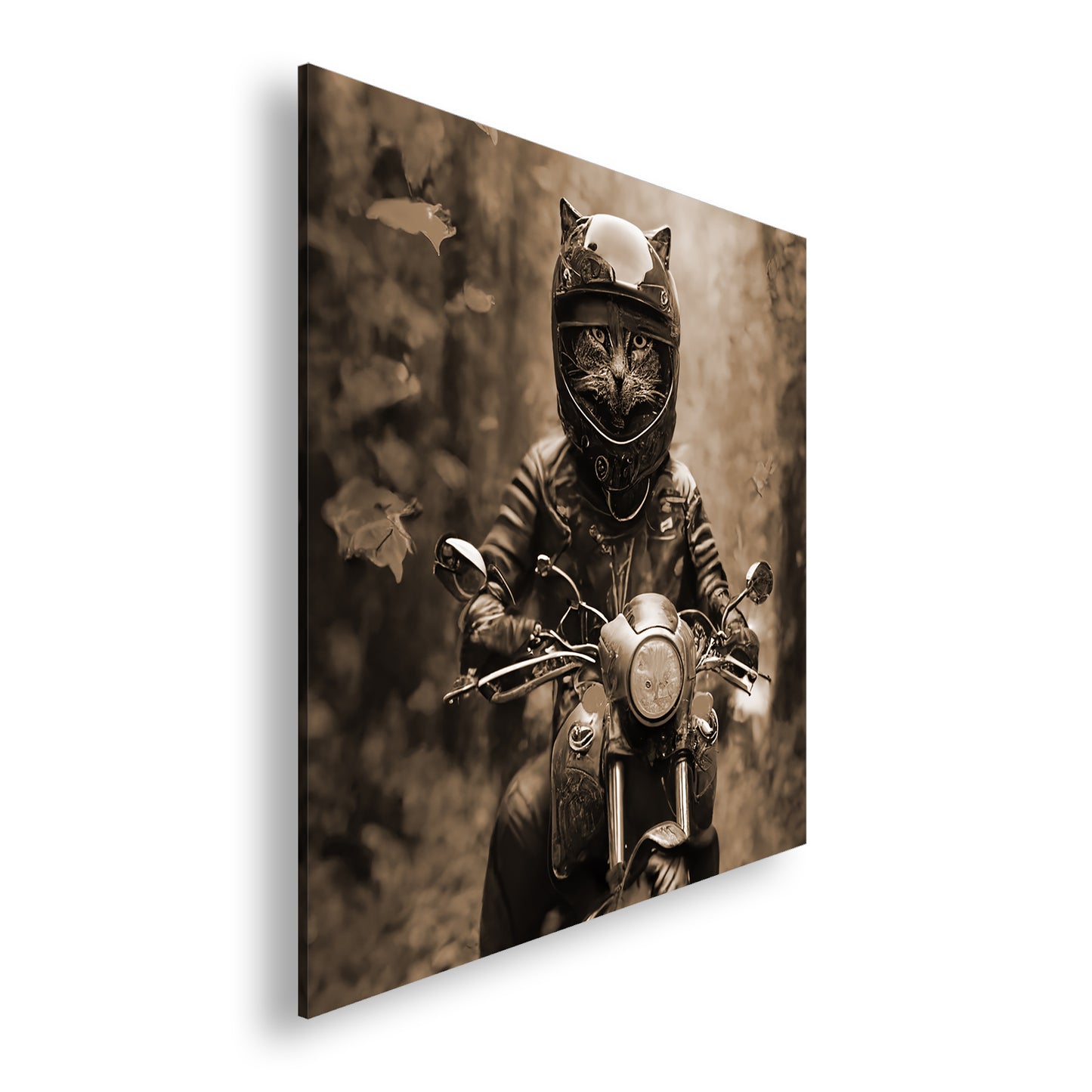 Hauptbild Sepia Quadratisch