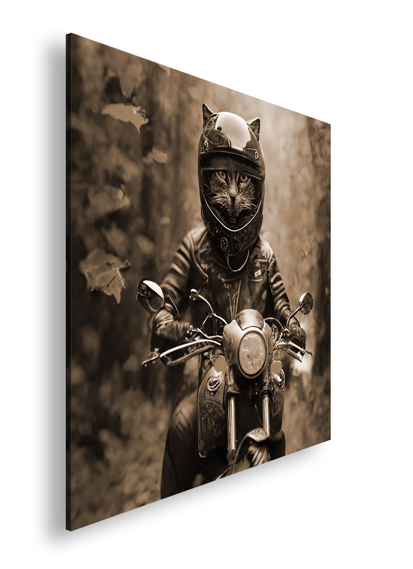 Hauptbild Sepia Quadratisch