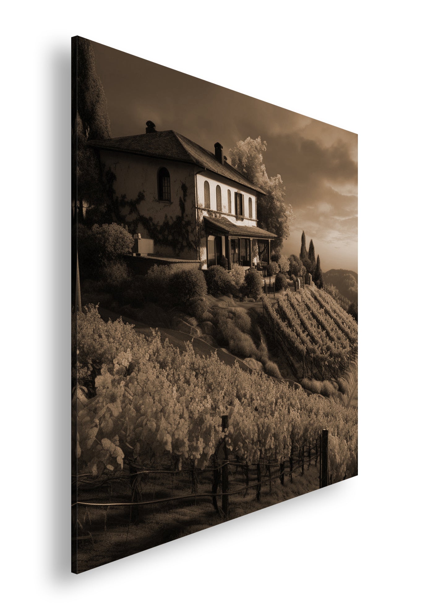 Hauptbild Sepia Quadratisch