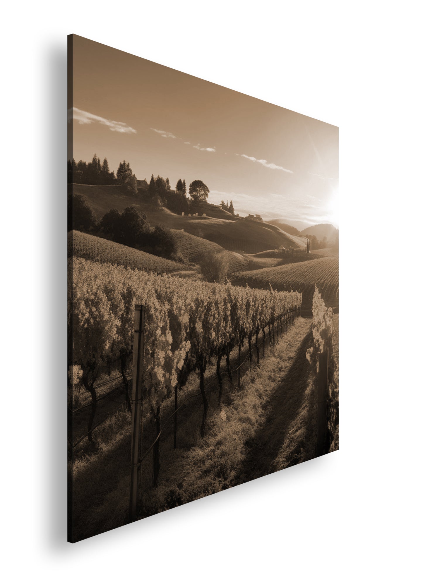 Hauptbild Sepia Quadratisch