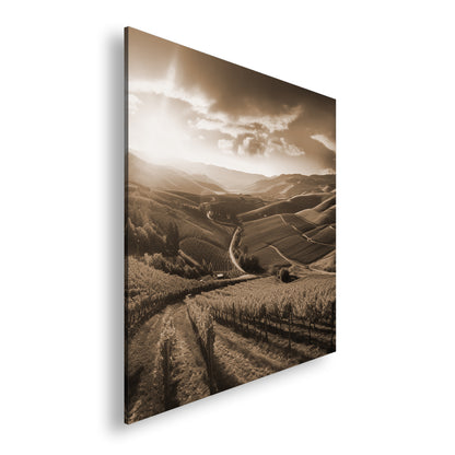 Hauptbild Sepia Quadratisch