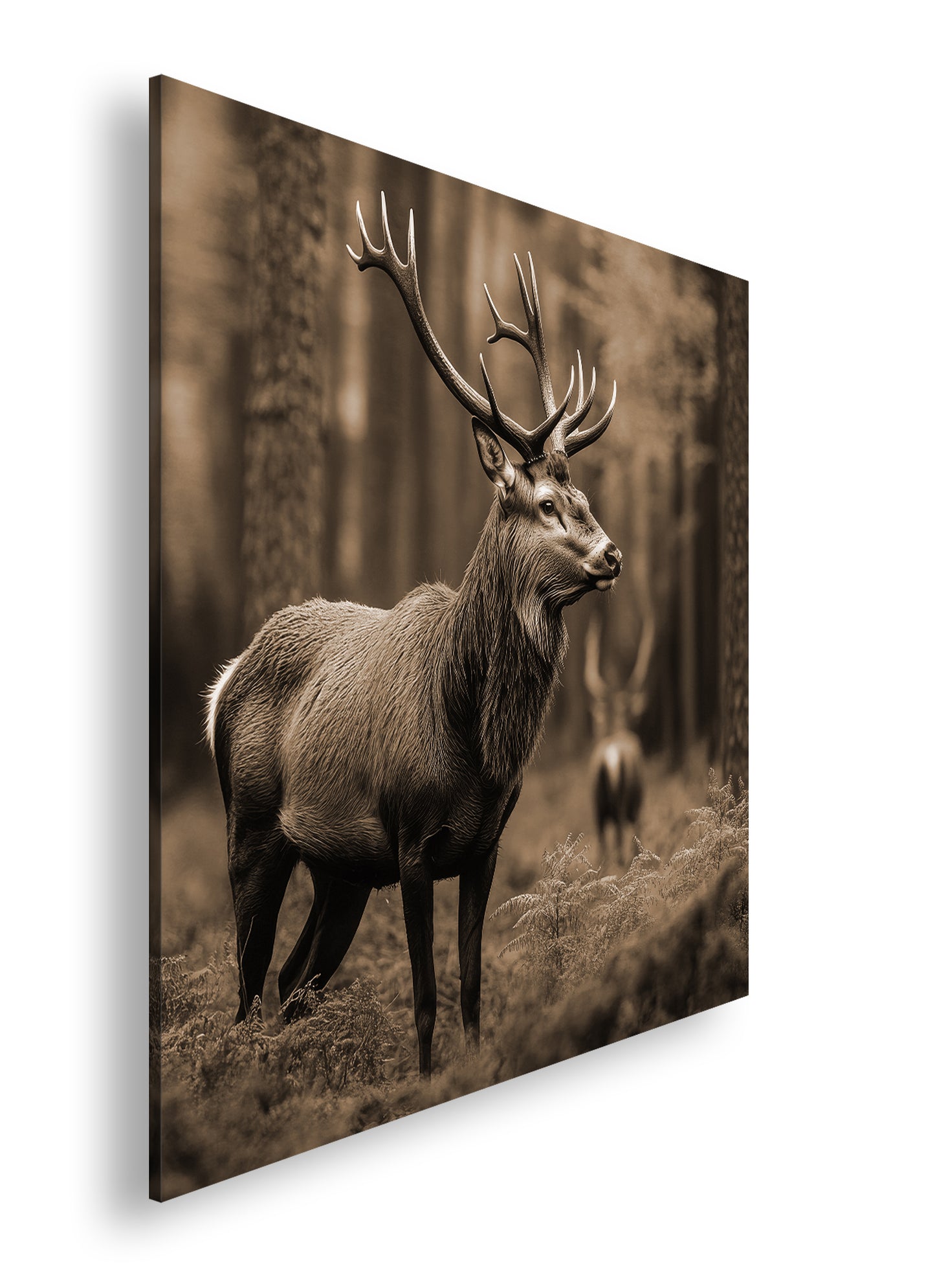 Hauptbild Sepia Quadratisch