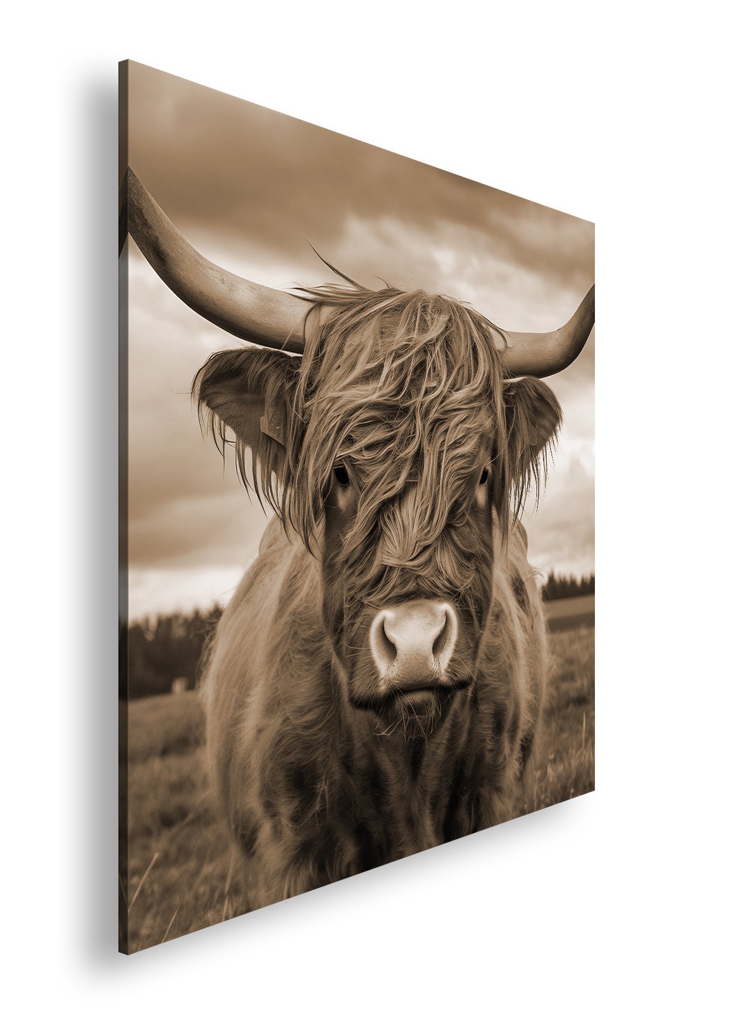 Hauptbild Sepia Quadratisch