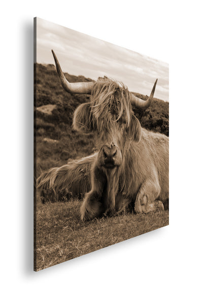 Hauptbild Sepia Quadratisch