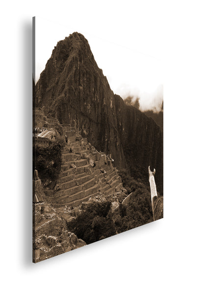 Hauptbild Sepia Quadratisch