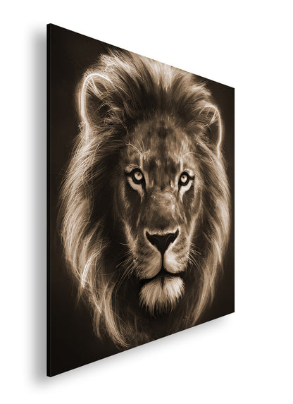 Hauptbild Sepia Quadratisch