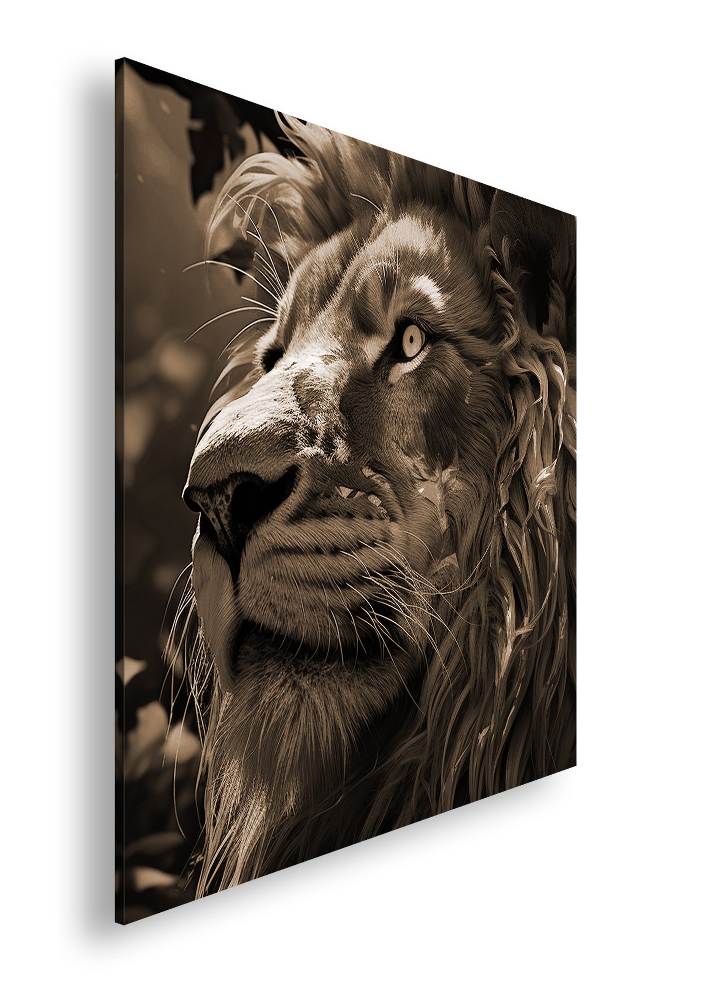 Hauptbild Sepia Quadratisch