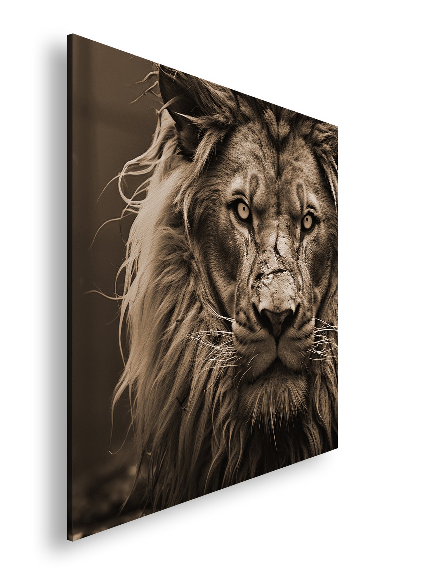 Hauptbild Sepia Quadratisch