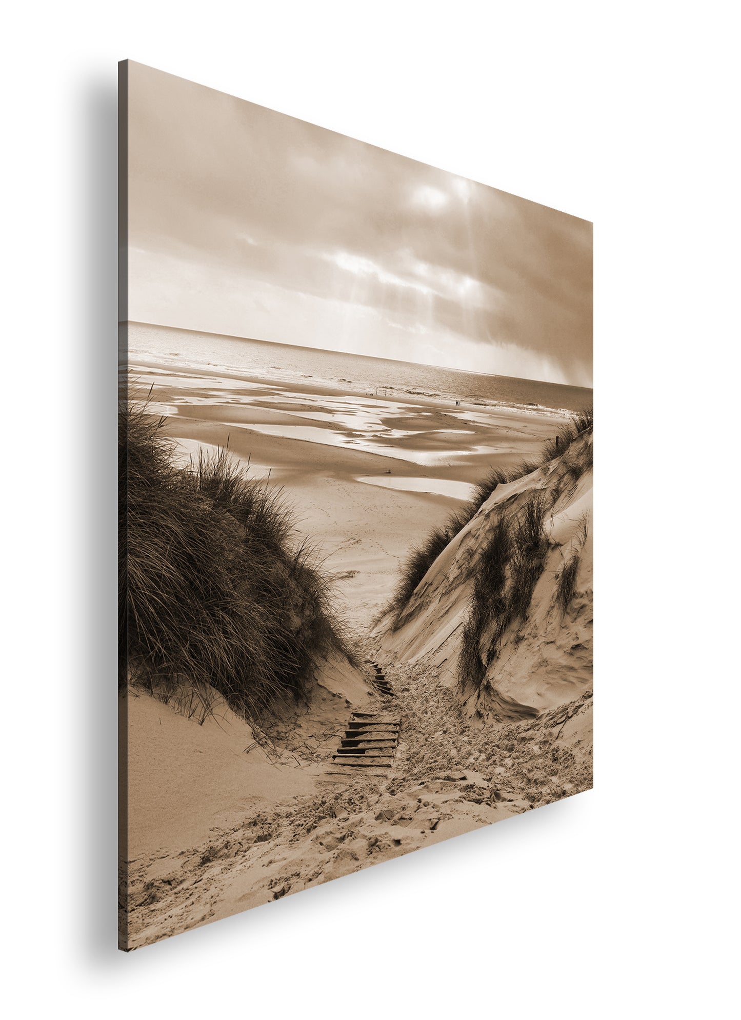 Hauptbild Sepia Quadratisch