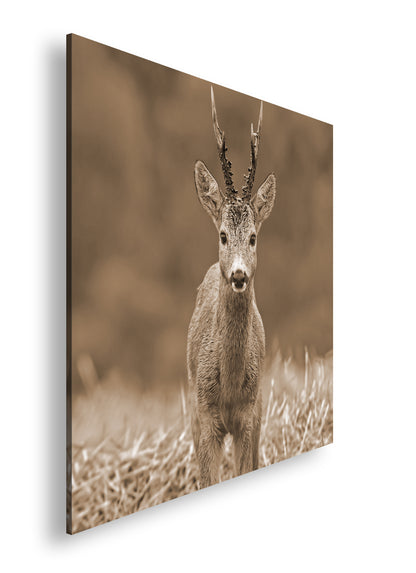 Hauptbild Sepia Quadratisch