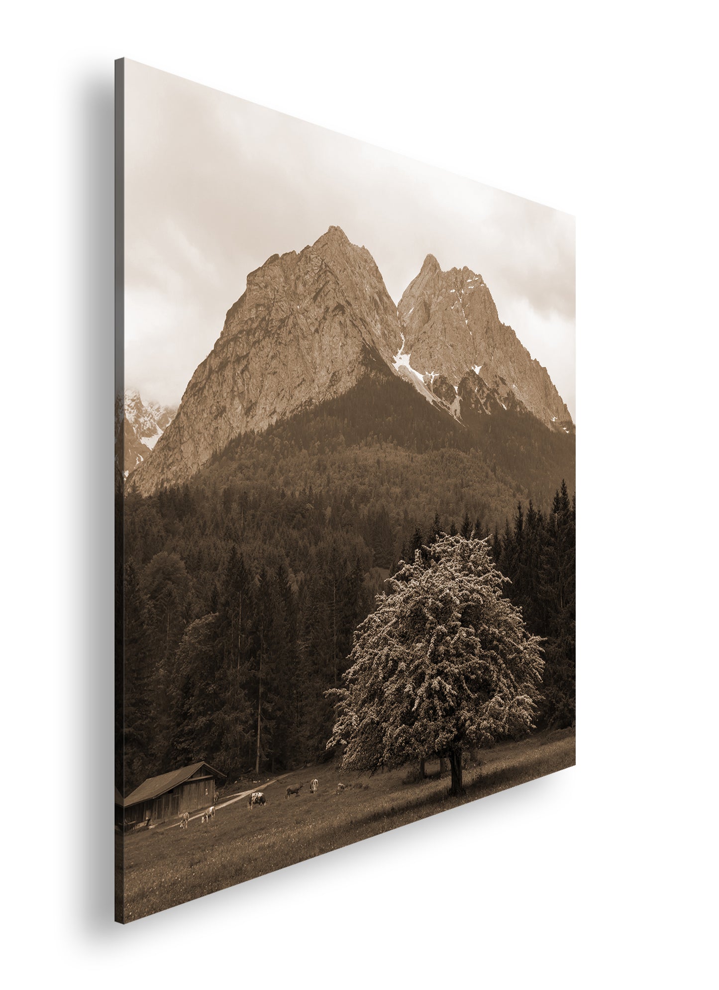 Hauptbild Sepia Quadratisch