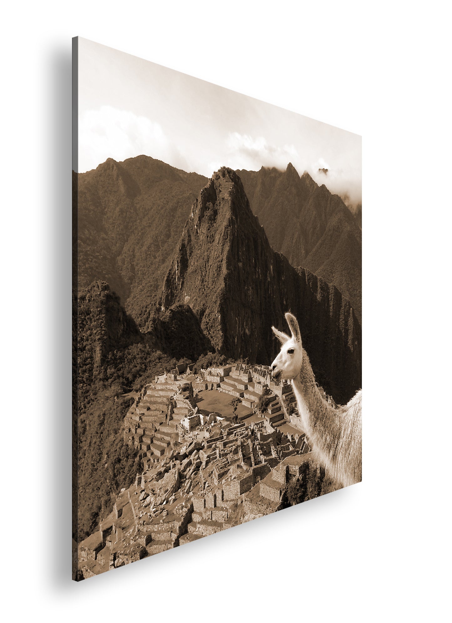 Hauptbild Sepia Quadratisch