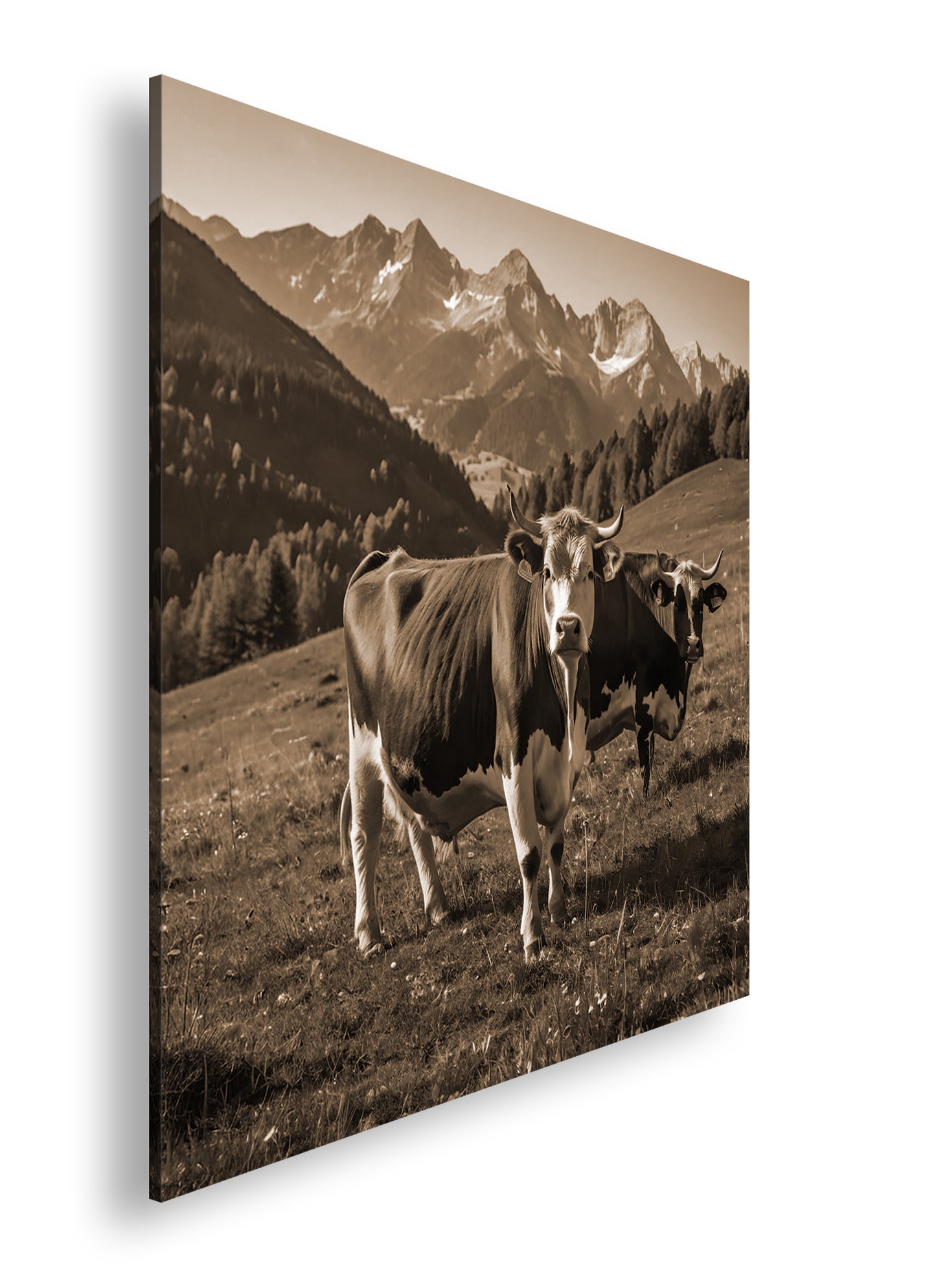 Hauptbild Sepia Quadratisch