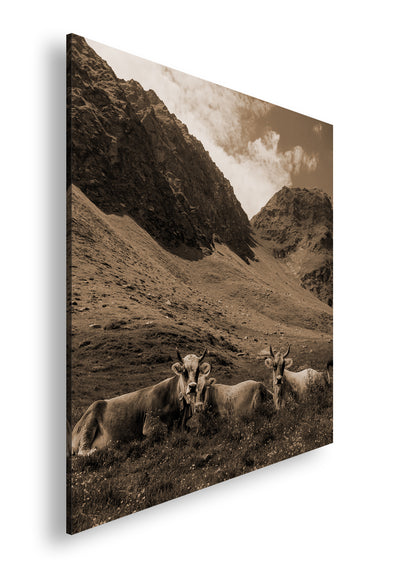 Hauptbild Sepia Quadratisch