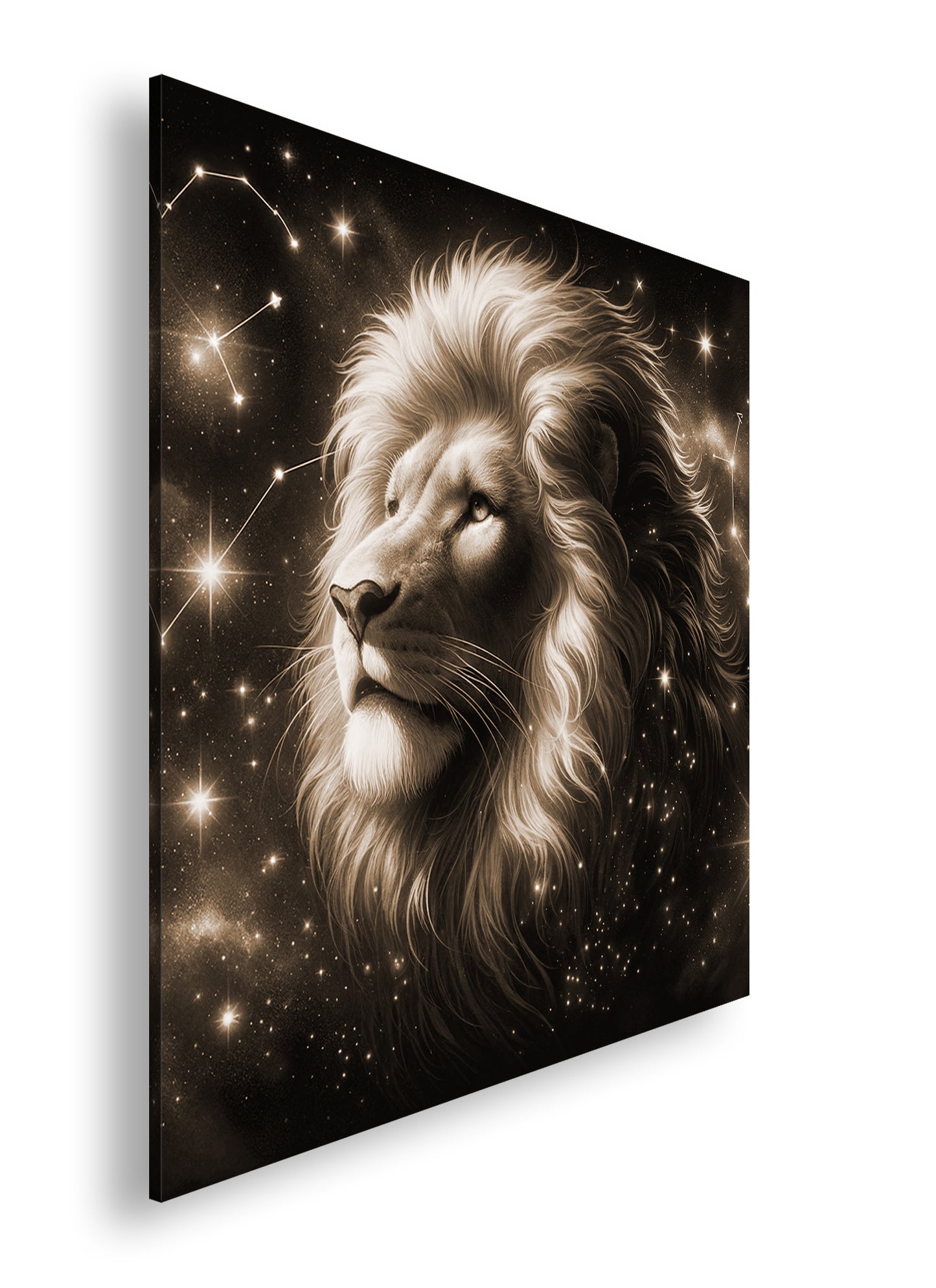 Hauptbild Sepia Quadratisch