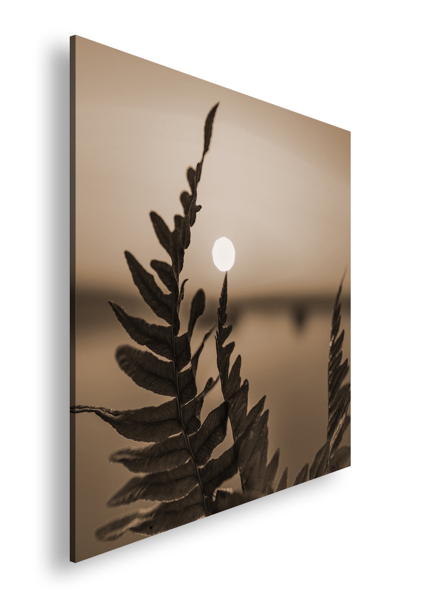 Hauptbild Sepia Quadratisch