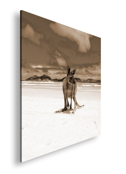 Hauptbild Sepia Quadratisch