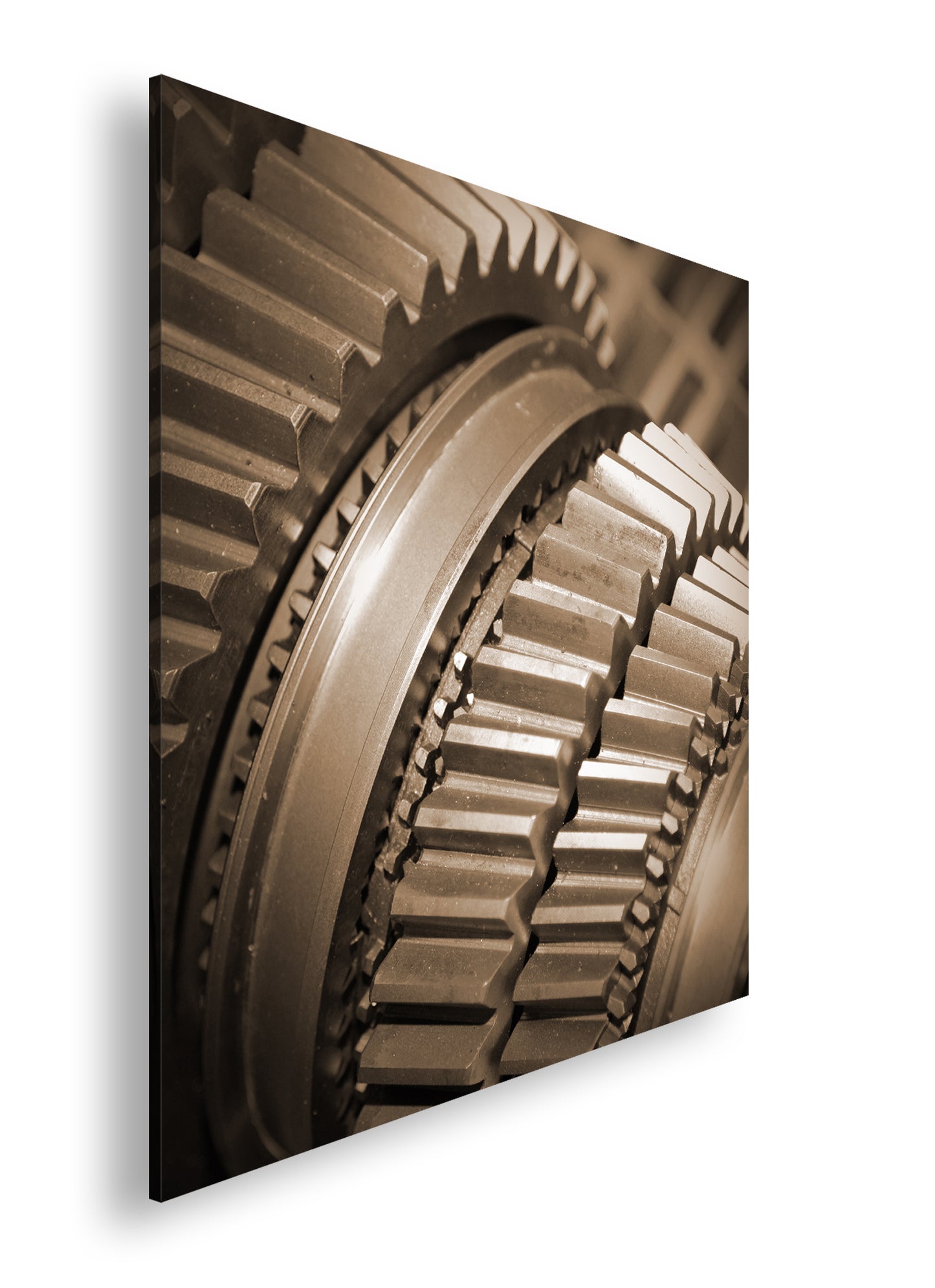 Hauptbild Sepia Quadratisch