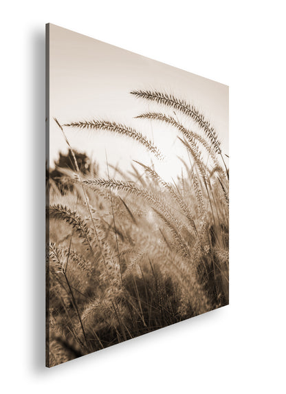 Hauptbild Sepia Quadratisch