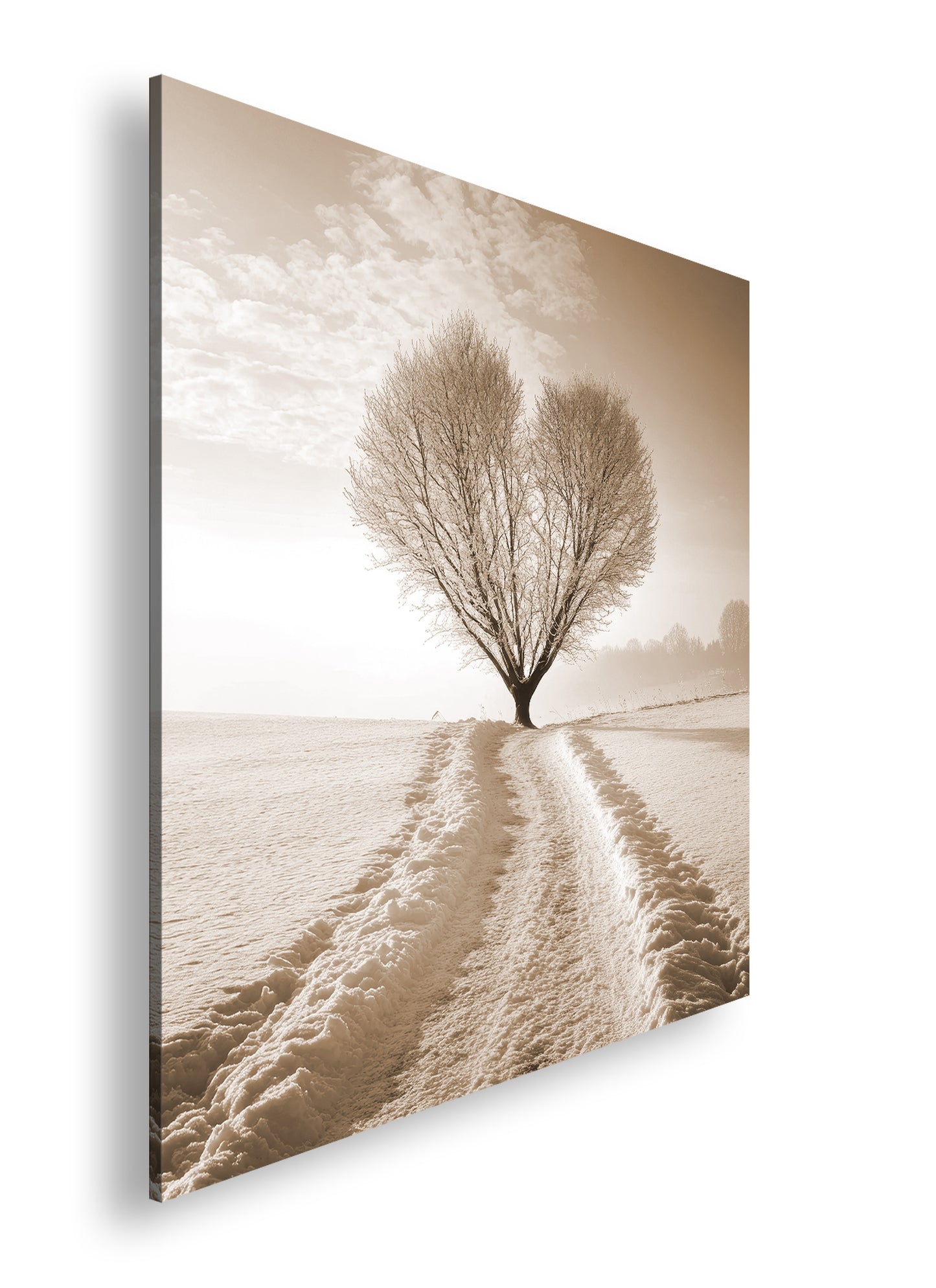 Hauptbild Sepia Quadratisch