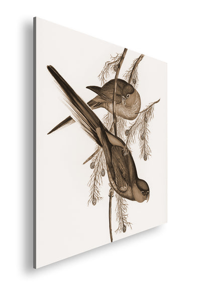 Hauptbild Sepia Quadratisch