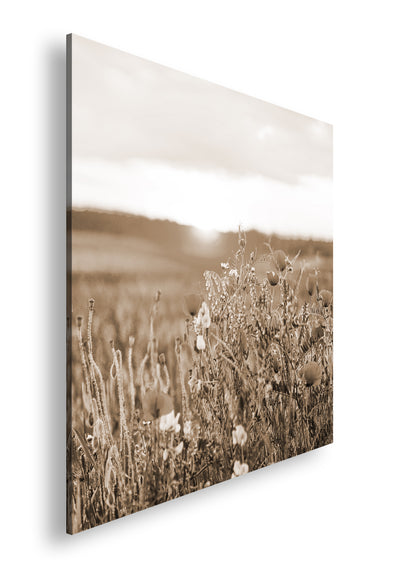 Hauptbild Sepia Quadratisch