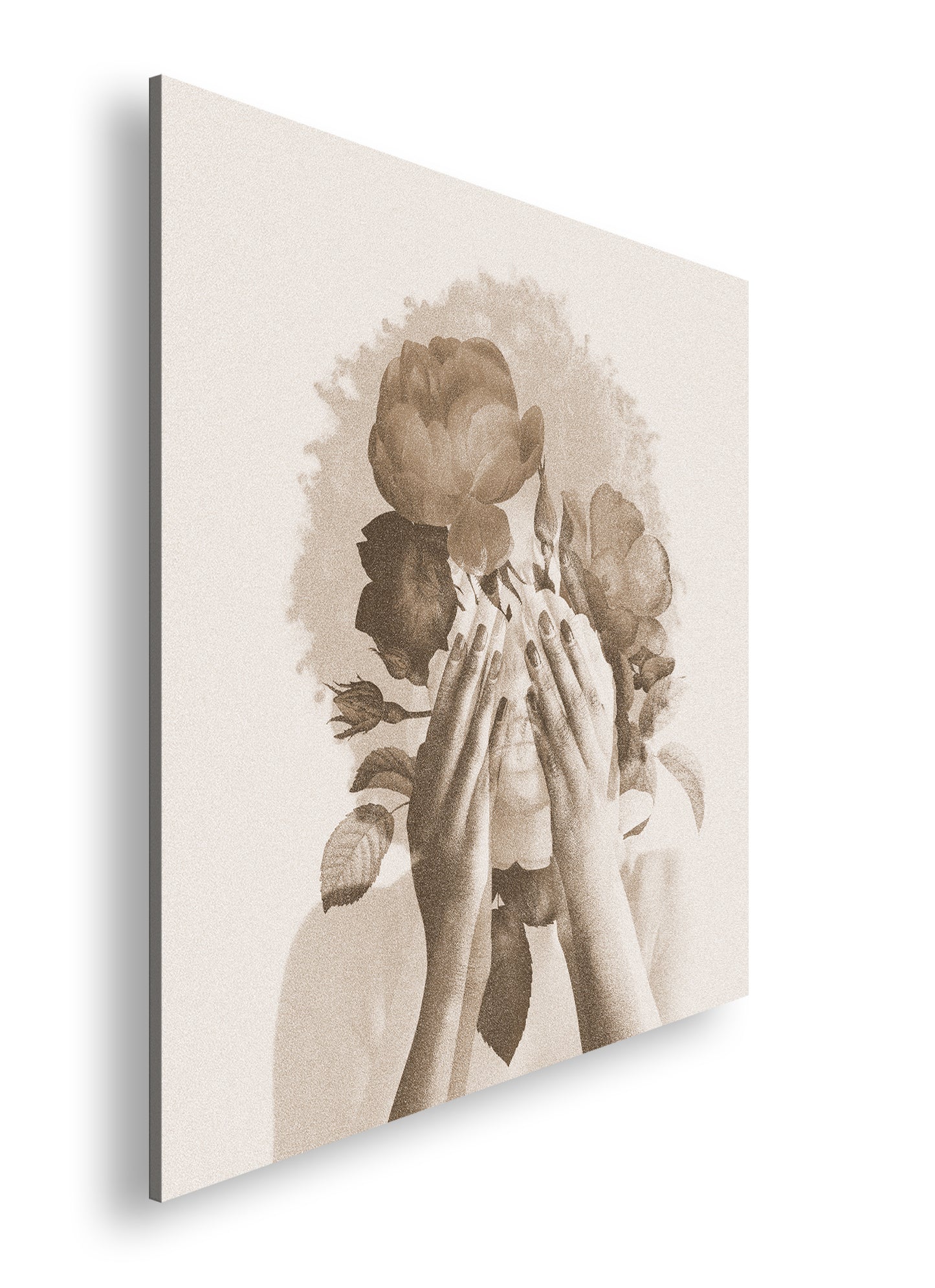 Hauptbild Sepia Quadratisch