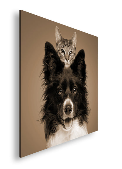 Hauptbild Sepia Quadratisch